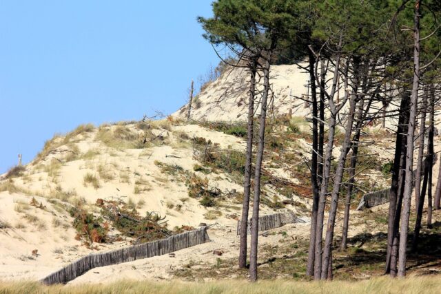 Trail en Vendée